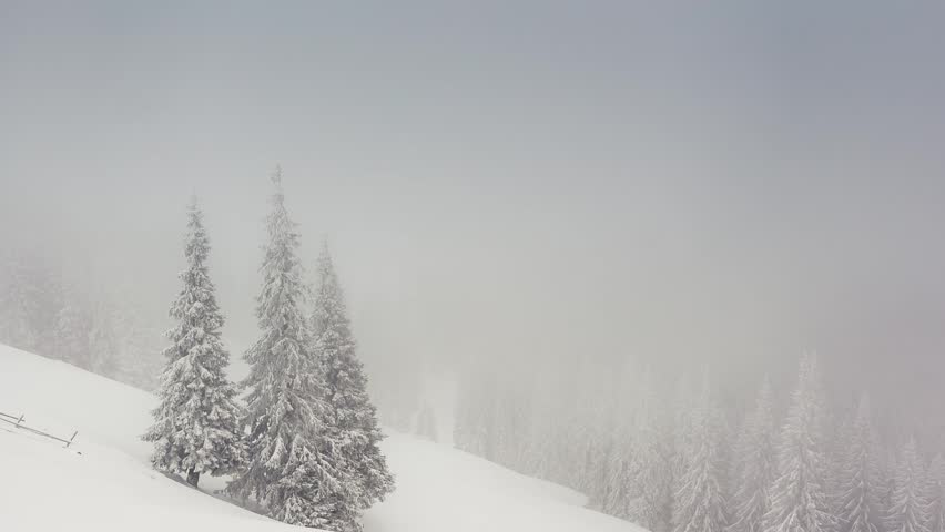 Beautiful winter landscape with snow covered trees. Carpathian, Ukraine. Time lapse, stop-motion clip. HD video (High Definition)