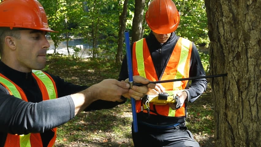 Two Environment workers looking taking samples out of a tree trunk
