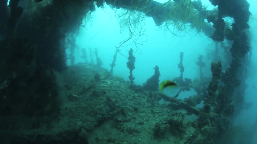 Shipwrecks from World War II litter Palau's lagoon.  Most of the wrecks are Japanese and were sunk on March 30 and 31, 1944 during Operation Desecrate One.  This wreck is the Iro, a massive tanker.