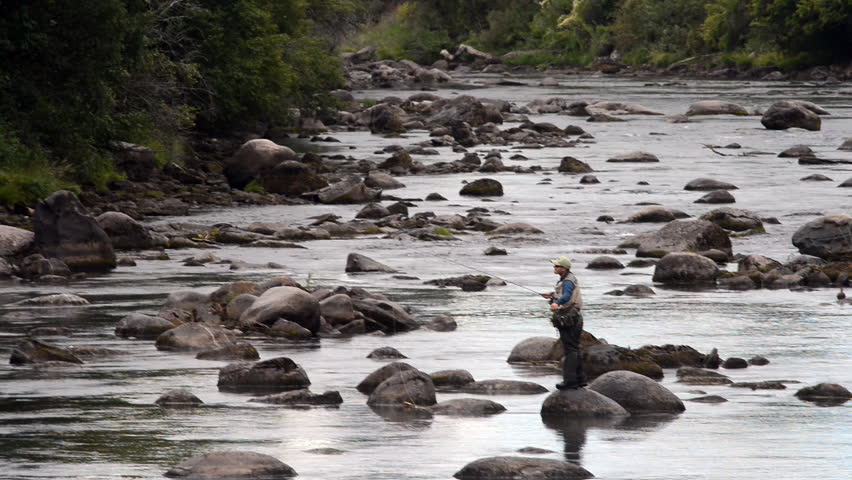 A wide shot of a man in waterproof overalls as he stands in a river and casts his lure with his rod while he spends his day fly fishing.