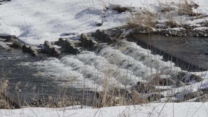 River in winter