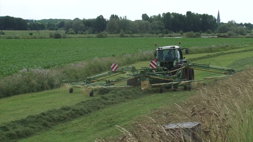 Farmer haying  grassland in river landscape. Church tower of Wijhe, The Netherlands in background.
