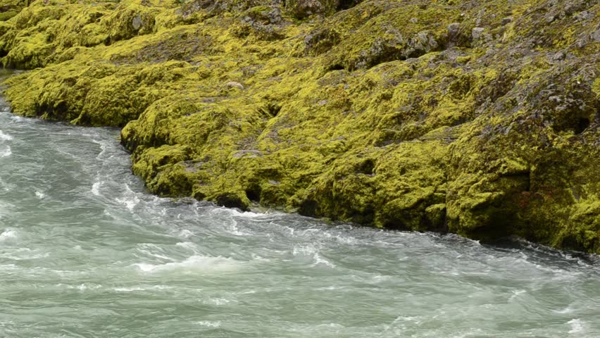 Large basalt rock covered with moss and lichen on the North Umpqua River just above Glide OR at a place called Rock Creek