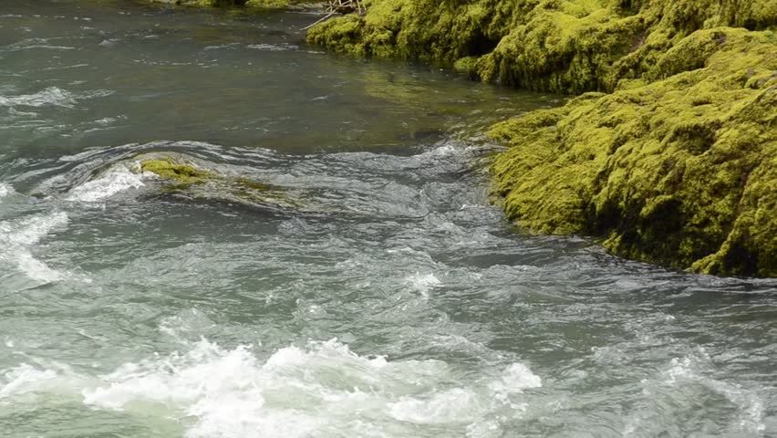 Large basalt rock covered with moss and lichen on the North Umpqua River just above Glide OR at a place called Rock Creek