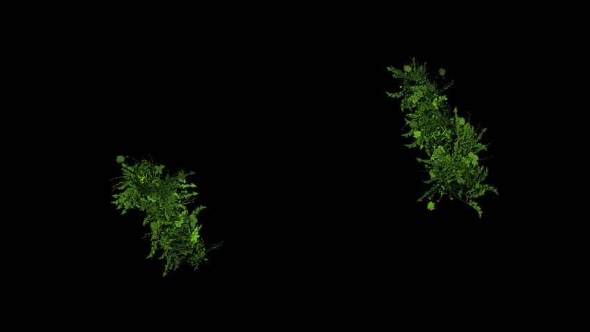 flying group of vine & plant,decoration flower wreath.