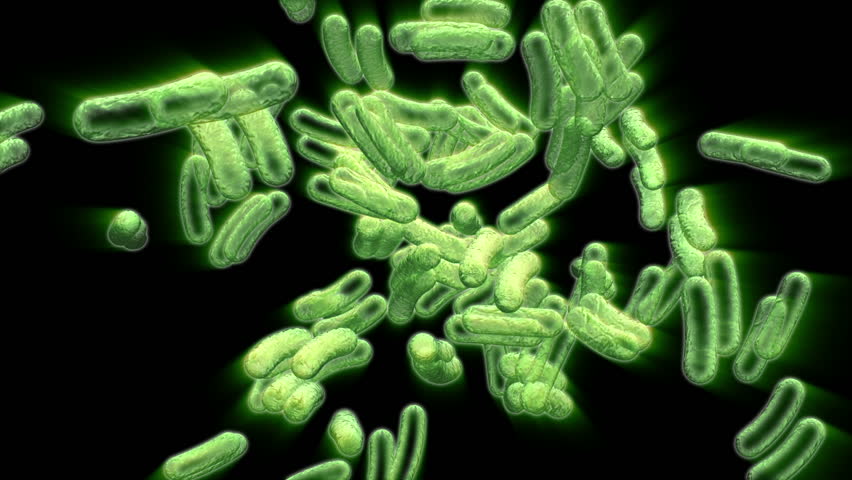 Green Infected Cells