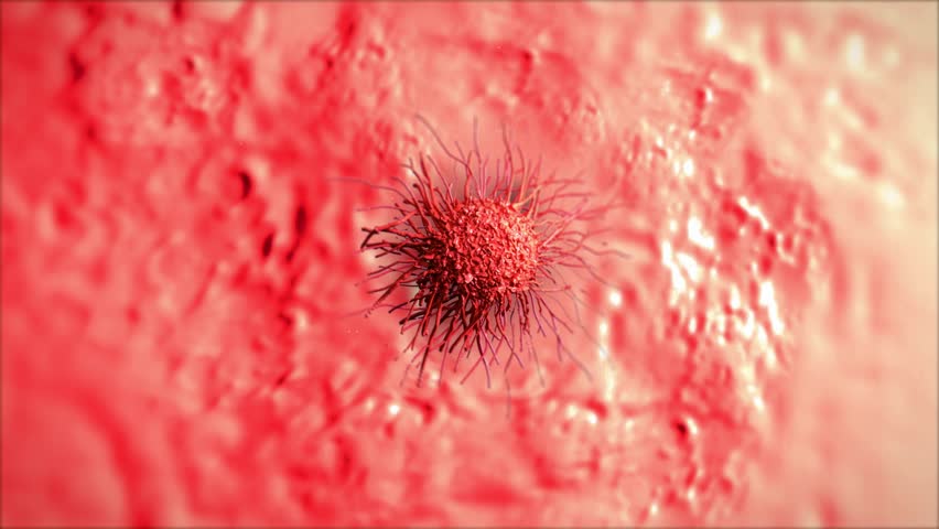 cancer cell with high details