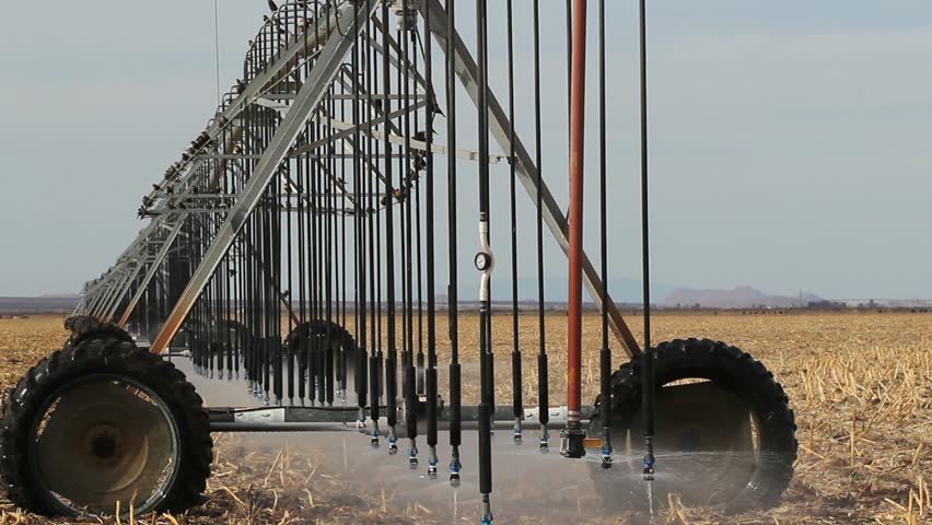 Birds fly around self-contained, automatic, pivot irrigation system that, slowly, drives around farm field, wetting soil, watering crops. 1080p