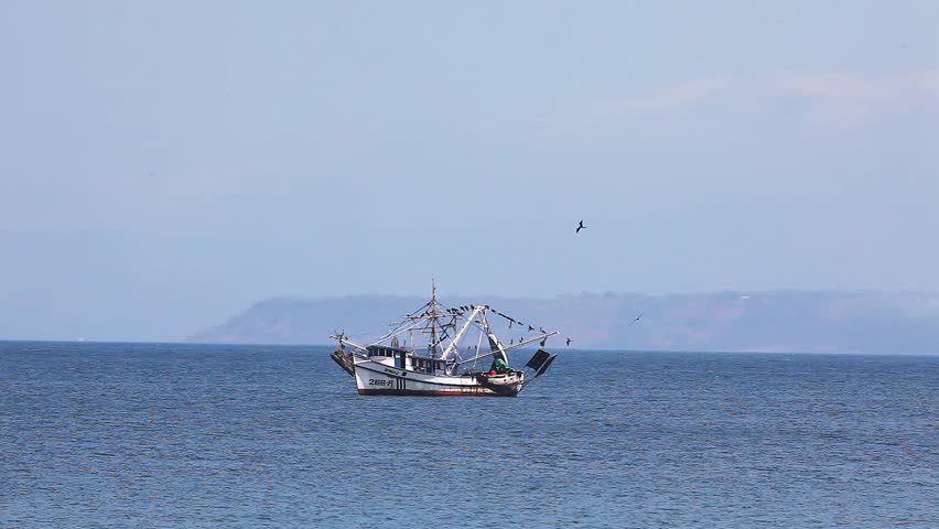 A fishing boat trawling off Costa Rica with seabirds following