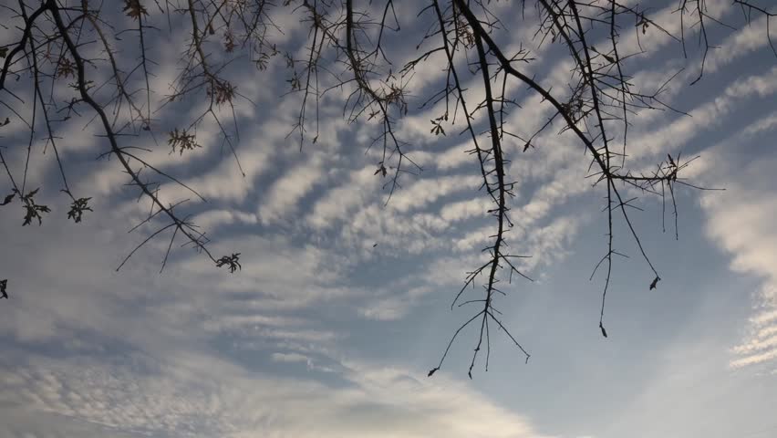 Time lapse of clouds at sunset passing overhead with tree limbs in the foreground