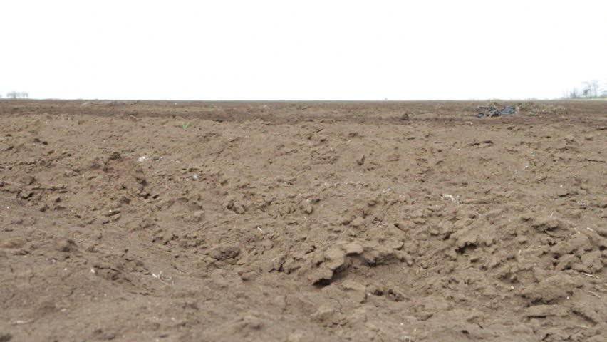Tractor cultivating field with the plow,preparing field for sowing