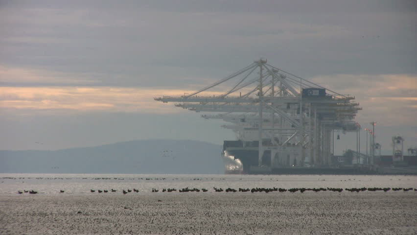 VANCOUVER, BC, 2013: Scores of birds take flight in front of large ships and davits in the port.