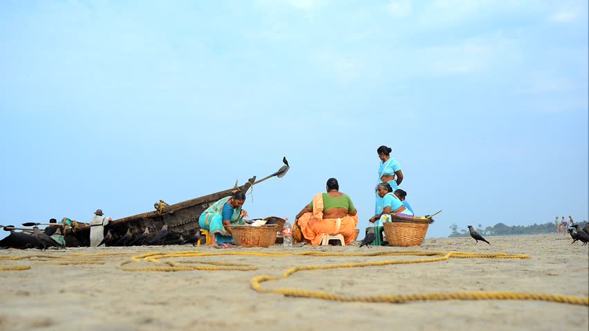 MORJIM, GOA, INDIA - MARCH 11: Indian women sorted fresh caught fish for sale on a beach near fisher boat, Morjim, March 11, 2013 in Goa India. This activity will provide a income stream for people.
