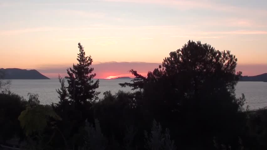 Sunset viewed behind trees