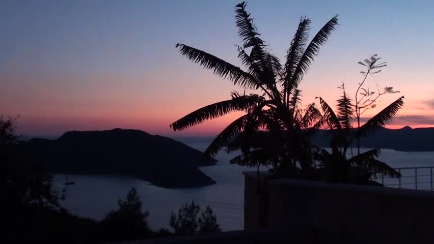 Palms, bay, boat, lights and an island at twilight 