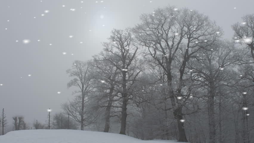 Falling snowflakes in a rural landscape