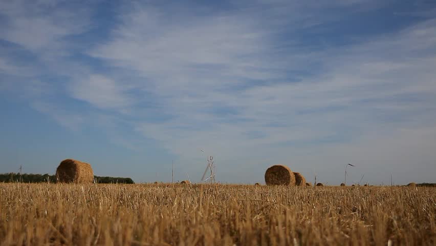 Hay and blue sky dolly shot