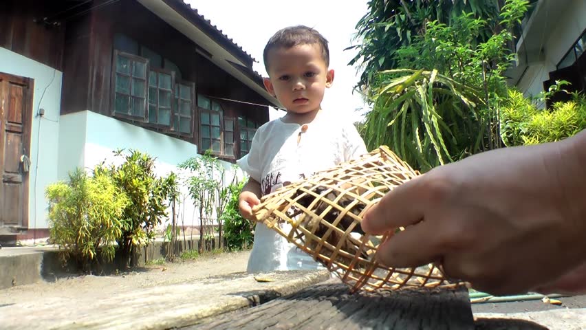 A boy watches as birds are released from their cage.