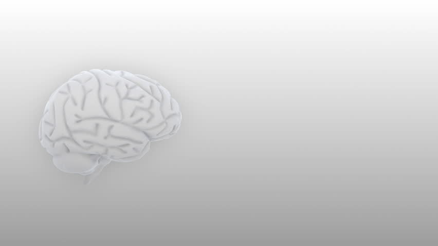 Brain images.