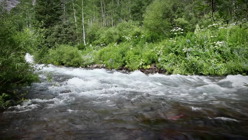 (1294) Spring Summer Fishing River Creek Stream Colorado Wilderness Rocky Mountains LOOP. Great for themes of summer outdoor adventure, mountain tourism, travel, nature, exploration.