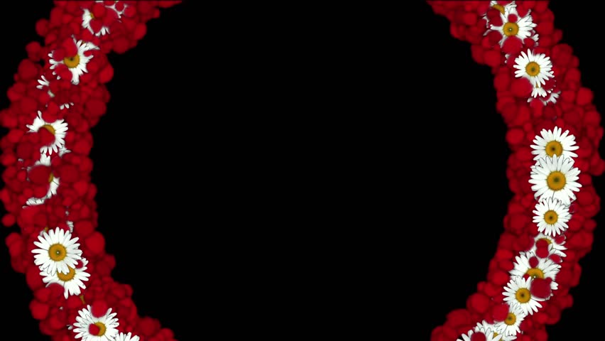 rose petals & daisy shaped wreath,wedding background,Valentine's Day.