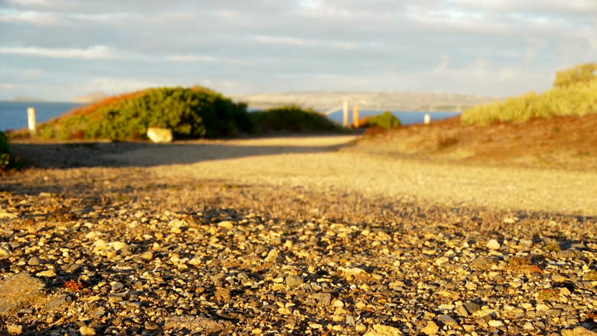 Mountain bike on dirt track with ocean view