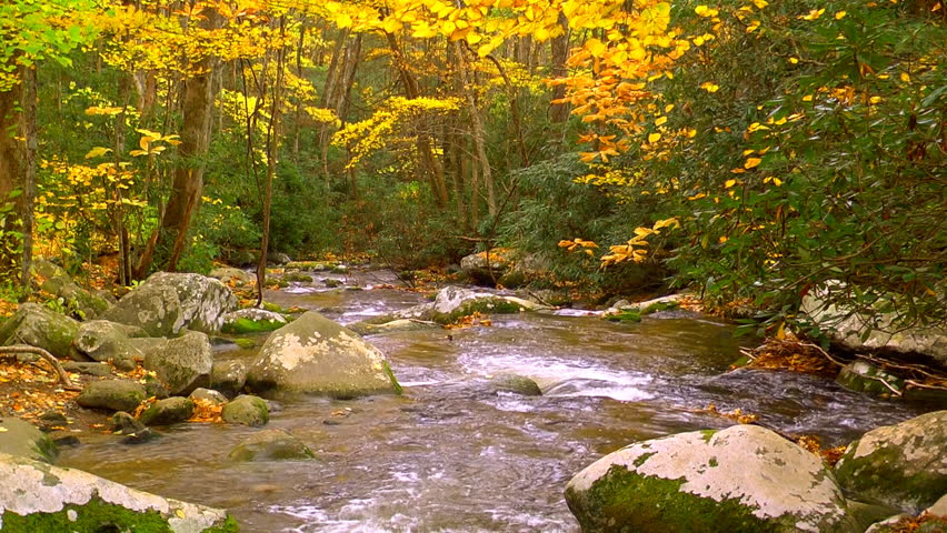 A beautiful scenic autumn river in the heart of the Tennessee mountains