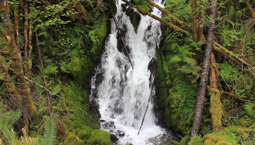 Road side waterfall located near Cougar Washington