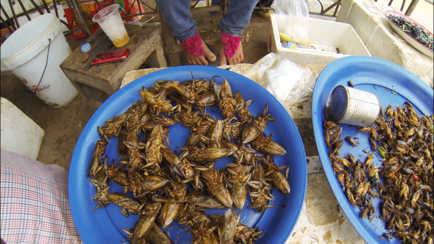 SIEM REAP, CAMBODIA - MAY 17: Fried insects for sale close to West Baray  in Siem Reap Cambodia on May 17th 2013