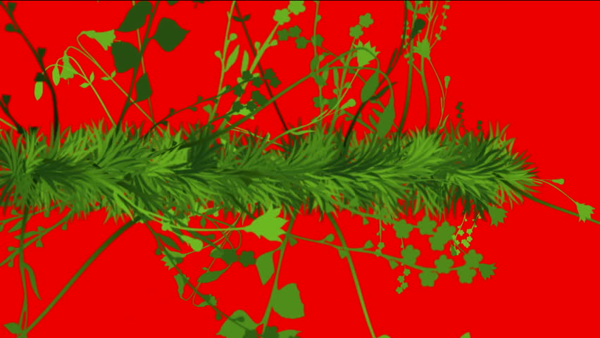 flower & plant growing background.