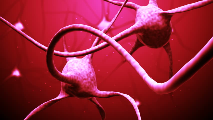 Animation of neuron cells.