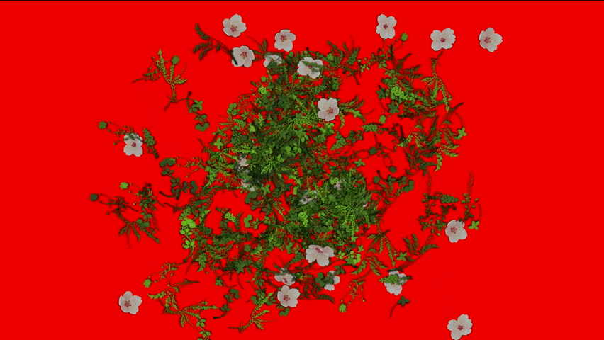 flying flower,spring scene.