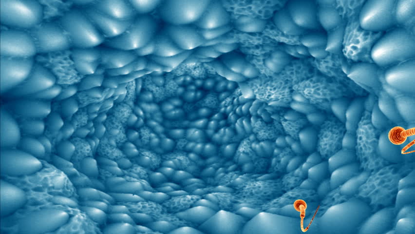 Sperm swimming toward the egg