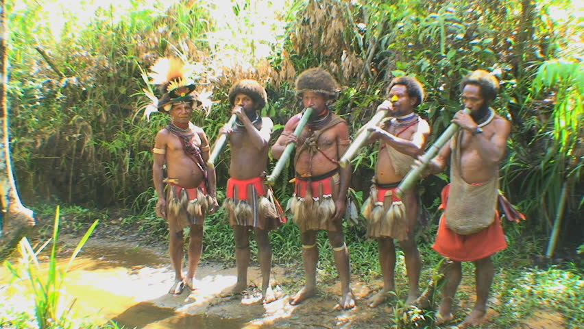 PAPUA NEW GUINEA - NOV.4: Huli wigmen tribal warriors ceremony, purifying the hair, in the Mt. Hagen Highland area in Papua New Guinea, November 4, 2008.