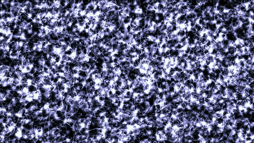 fly particles take light tail & microbes in darkness.