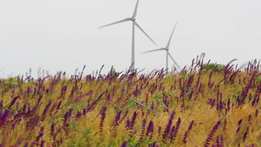 Strong wind and turbines ...