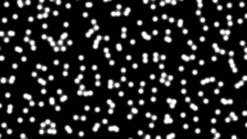 Animation of white cells under a microscope.  Seamlessly loops.