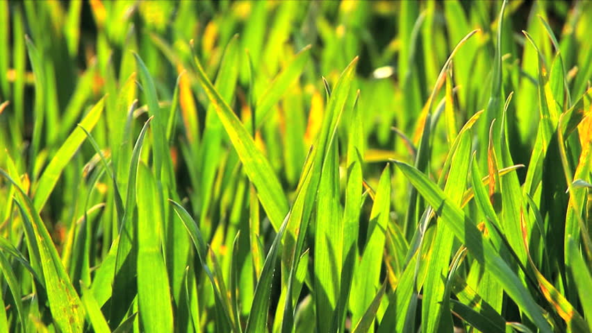 Commercial images advertising renewable energy sources