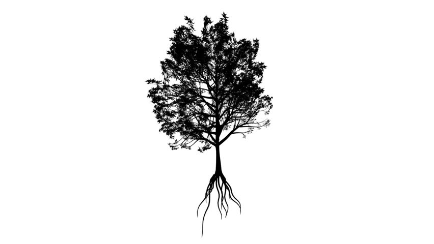Growing Tree (Color Version available in Portfolio)
