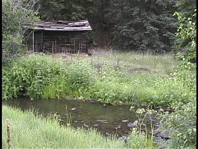 A gurgling stream runs in front of an old, broken down shack in the woods.