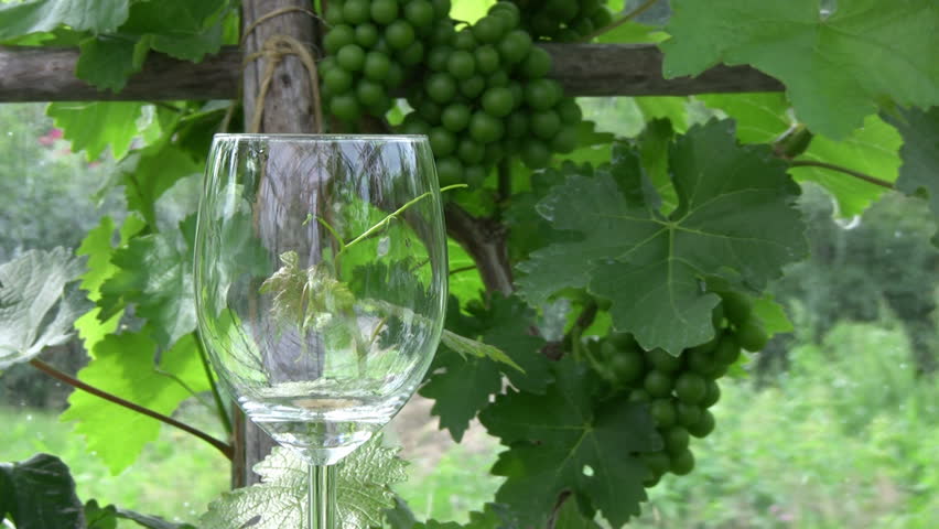 Pouring wine in a glass