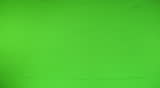 Businesswoman is shaking hands with a businessman in front of a green screen