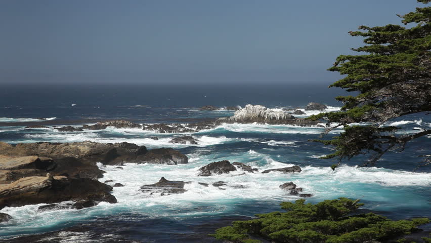 1080p Monterey Cypress and Pacific waves