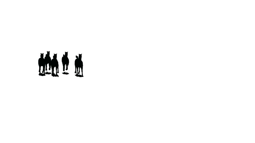 Herd of running horses comes nearer and keeps away, black silhouette on white background 