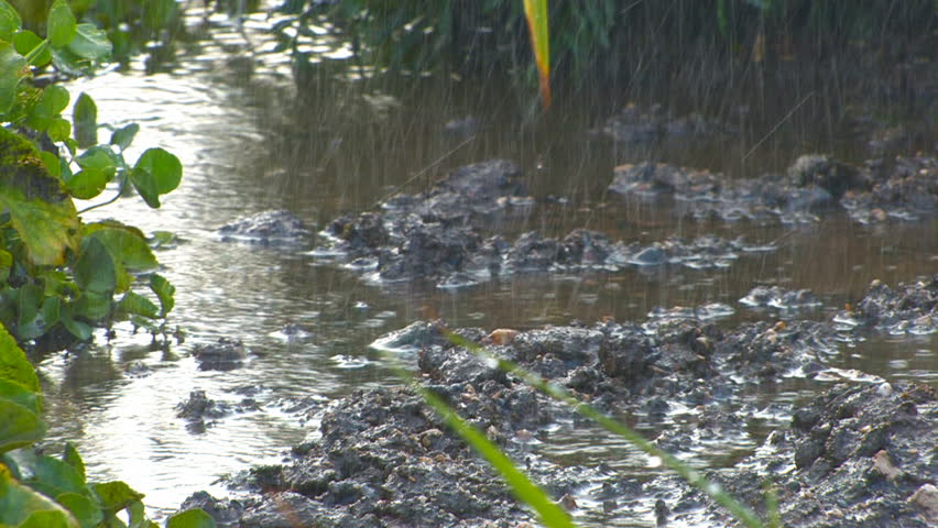HD Rain water puddle, closeup, Canon XH A1, FullHD video, 1080p, 25fps, progressive scan 