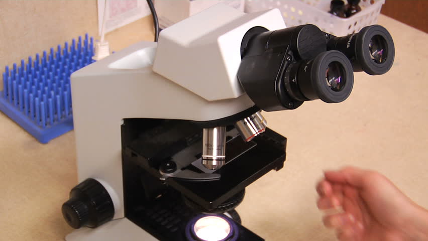 A female scientist studies a slide under a microscope in a laboratory.
