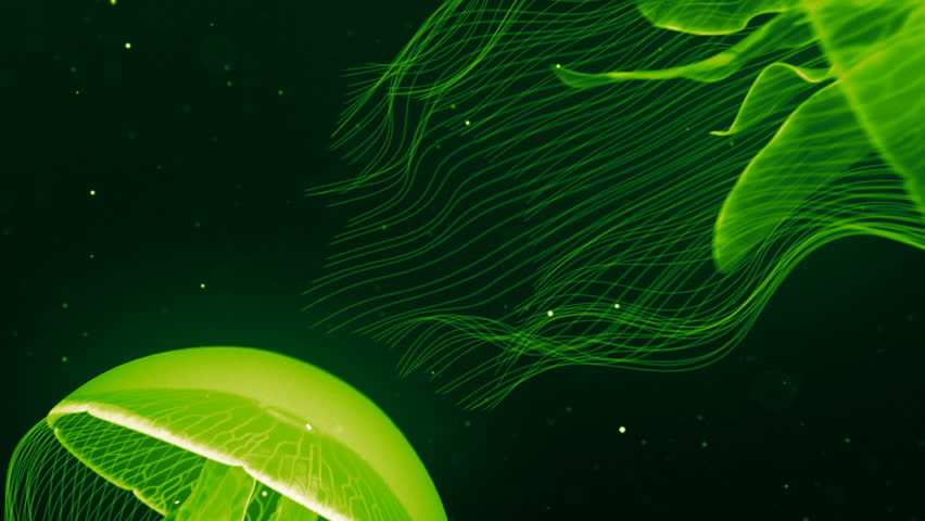 Jellyfish Nightlights Green.
