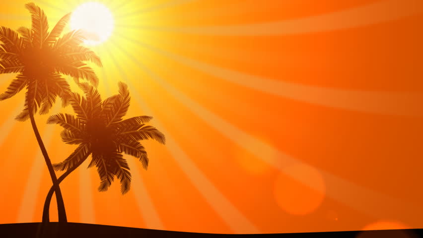 Palm Trees swaying in the wind with Sun (Animated HD Background)