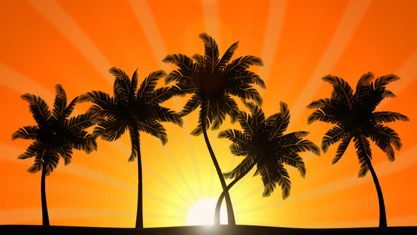 Palm Trees swaying in the wind with Sunrise (Animated HD Background)