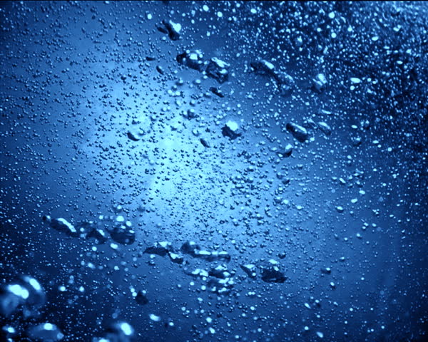 bubbles swimming to the top